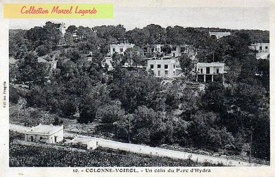 Alger-Hydra-ColonneVoirol