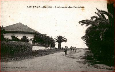 Ain-Taya-BdPalmiers