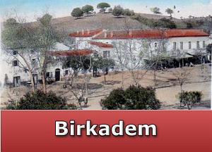 Birkadem