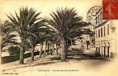 La-Calle-PromenadeDesCorailleurs
