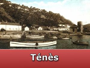 Tenes