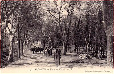 Tlemcen-RteMarnia