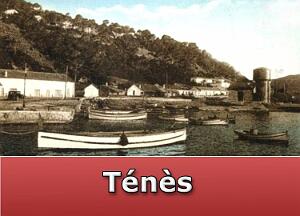 Tenes