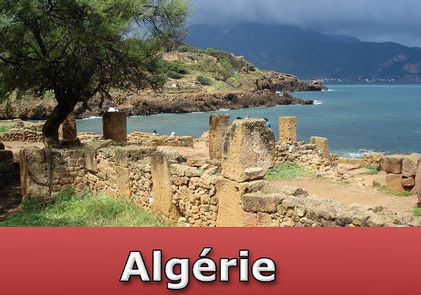 Cartes Postales et Photos d'Algérie