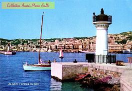 Alger-Port-AMG