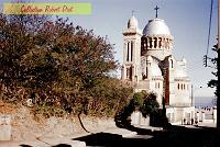 Alger-RD-01