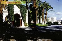 Alger-RD-02