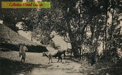 Kabylie-Pastorale