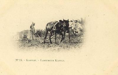 Laboureur-Kabyle-005