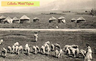 Paysage-Kabyle (3)