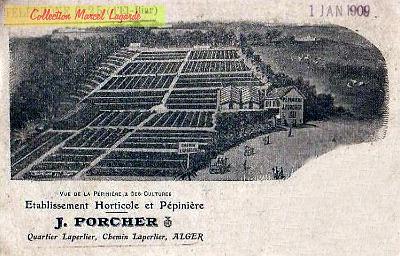 Horticulture-Porcher