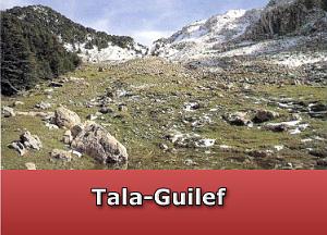 Tala-Guilef