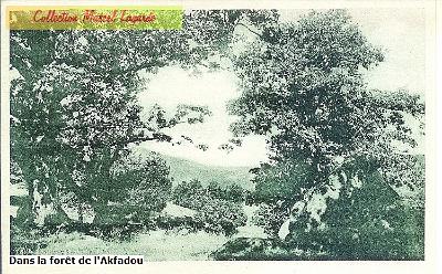 Kabylie-1930-14
