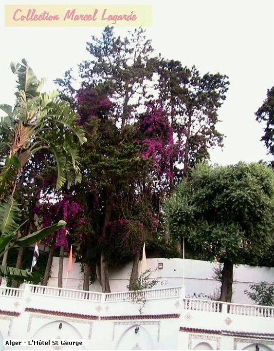 Alger-StGeorge-5.JPG
