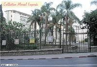 03-Alger-Telemly-01