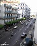07-Alger-Lelluch-01