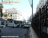 07-Alger-Lelluch-04