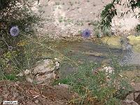 Oued-Ksari-06
