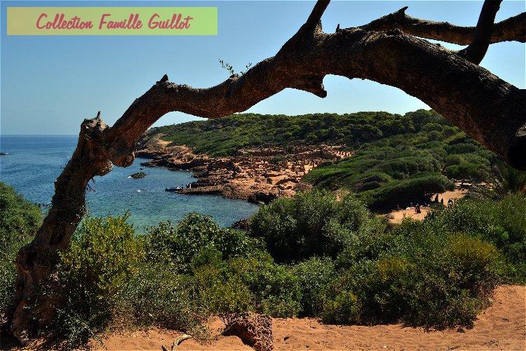 Tipaza.jpg
