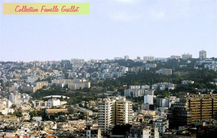 V03-07.jpg