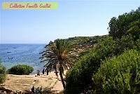 DSC00109