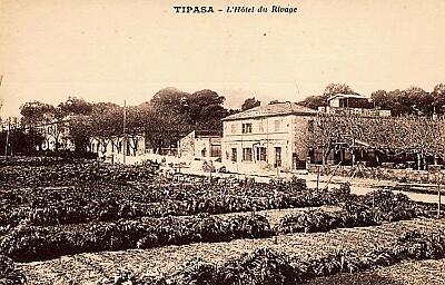 Tipaza-HotelRivage