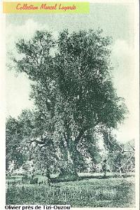 Kabylie-1930-17