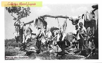 Ouadhias-Marche-01