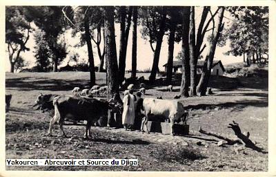 Yakouren-AbreuvoirSourceDjiga