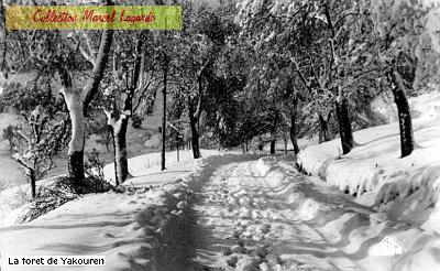 Yakouren-Foret-Neige-01