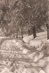 Yakouren-Foret-Neige-02