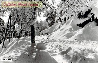 Yakouren-Foret-Neige