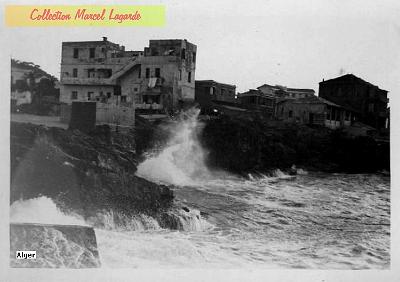 PhotoAlger01