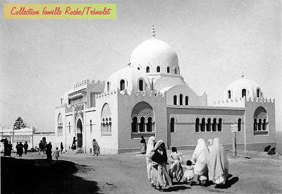 Alger-LT-02